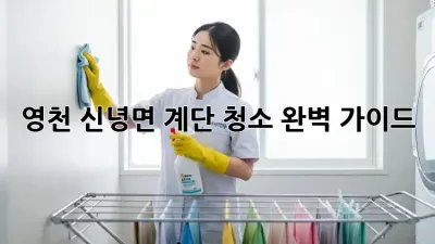 영천 신녕면 계단 청소 완벽 가이드