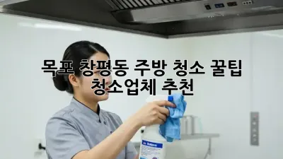 목포 창평동 주방 청소 꿀팁🍯 청소업체 추천! ✨